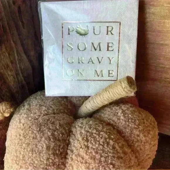 NEW 40 Count 3 ply beverage napkins - POUR SOME GRAVY ON ME! - Picture 3 of 6